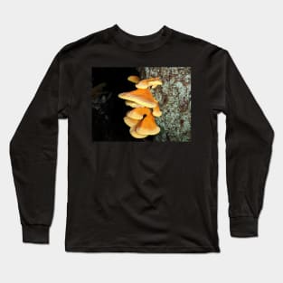 Chicken of the woods mushrooms Long Sleeve T-Shirt